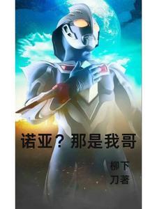 诺亚?那是我哥
