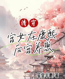 清穿康熙后宫文