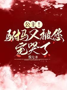 驸马又不见了gl