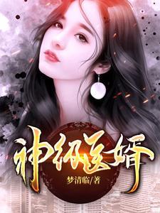 神医狂婿叶凡