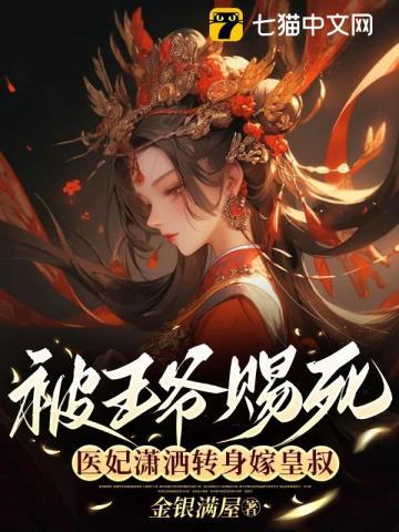王爷医妃穿越