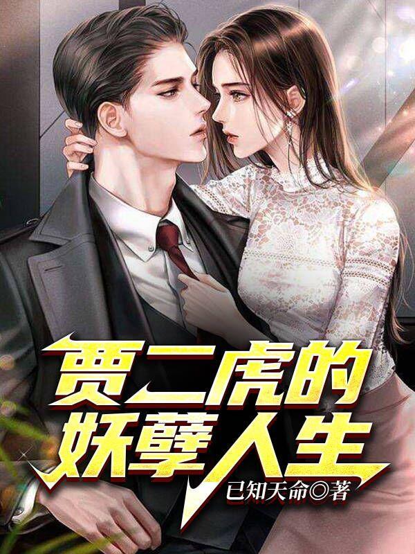 贾二虎是哪部